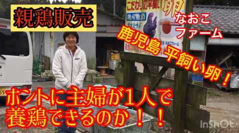 ���R�~�A�]���A�������@���܂��@�{�@���@�q�i�@�Ђ� �̔� ���̋@�@���l�̔��@����@������ �Ȃ����t�@�[���A���R�@�������@���@�{�@���@�q�i�@�Ђ� �̔��@����