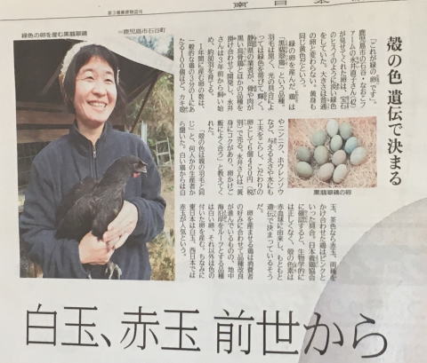 ���R�~�A�]���A�������@���܂��@�{�@���@�q�i�@�Ђ� �̔� ���̋@�@���l�̔��@����@������ �Ȃ����t�@�[���A���R�@�������@���@�{�@���@�q�i�@�Ђ� �̔��@����