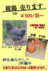 ���R�~�A�]���A�������@���܂��@�{�@���@�q�i �̔� ���̋@�@���l�̔��@����@������ �Ȃ����t�@�[���A���R�@�������@���@�{�@���@�q�i �̔��@����